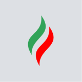 Татнефть лого
